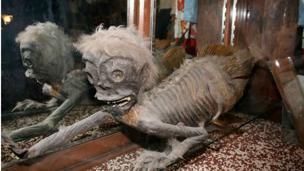 The merman in the Banff Trading Post is one of the weird and wonderful things to see in Banff