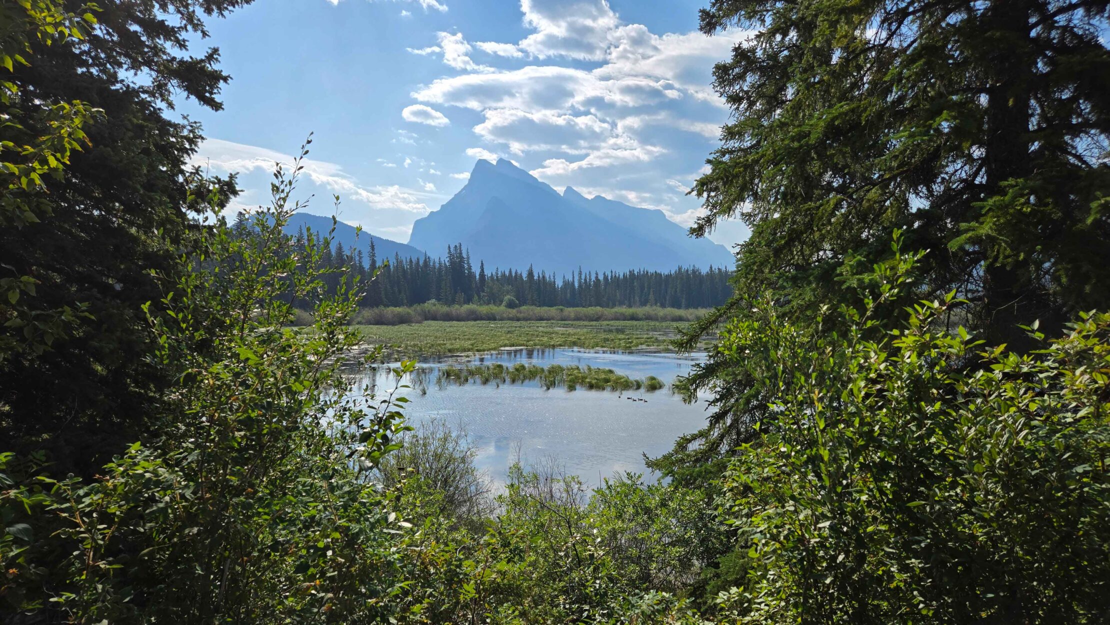 Walking Through the Fends: An Interpretative Tour on the Fenlands Trail on Where Rockies